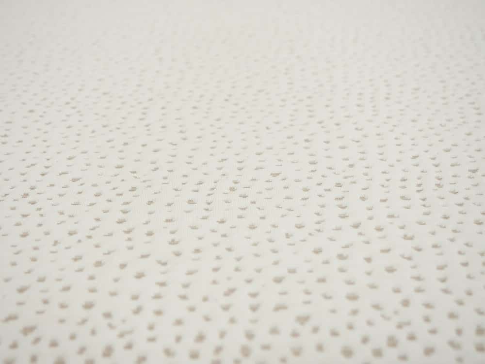 5 Little Monkeys Cover