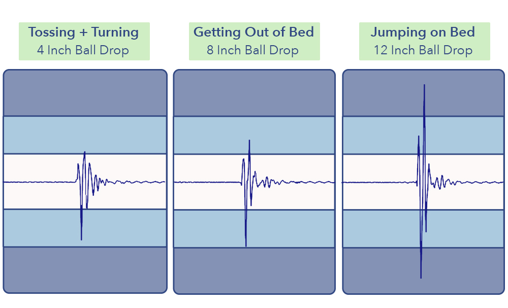 NolahSignatureMotion