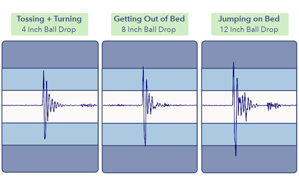 Novosbed Motion Transfer