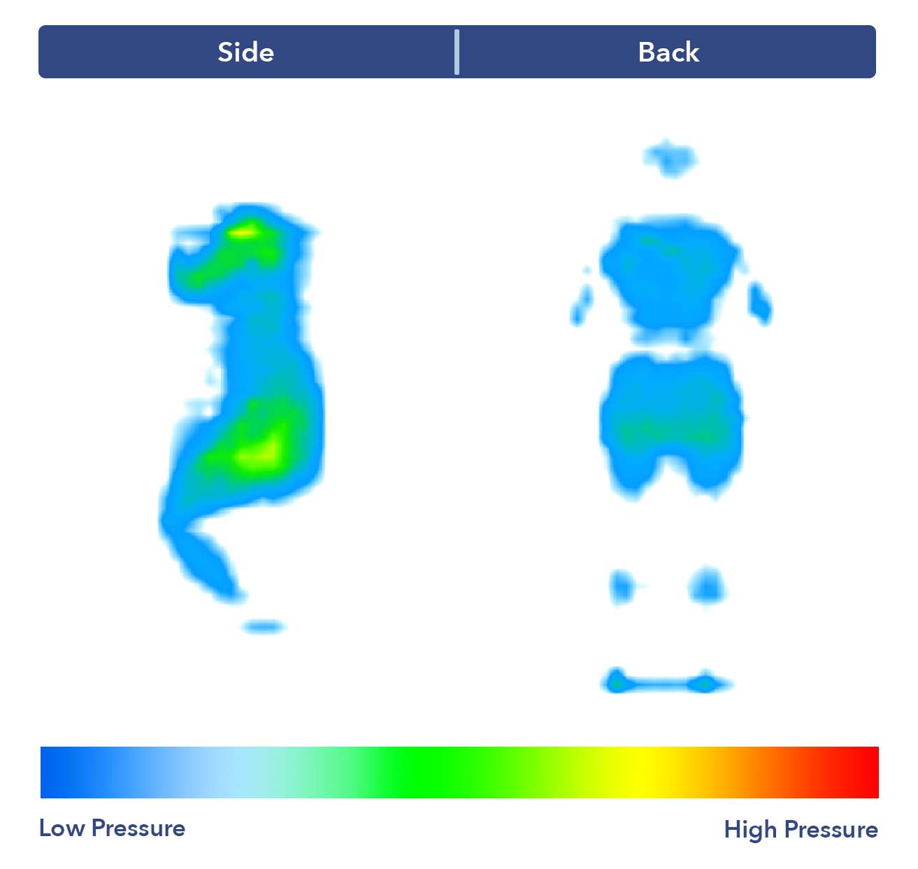 PressureMap BrooklynBeddingTitanPlus