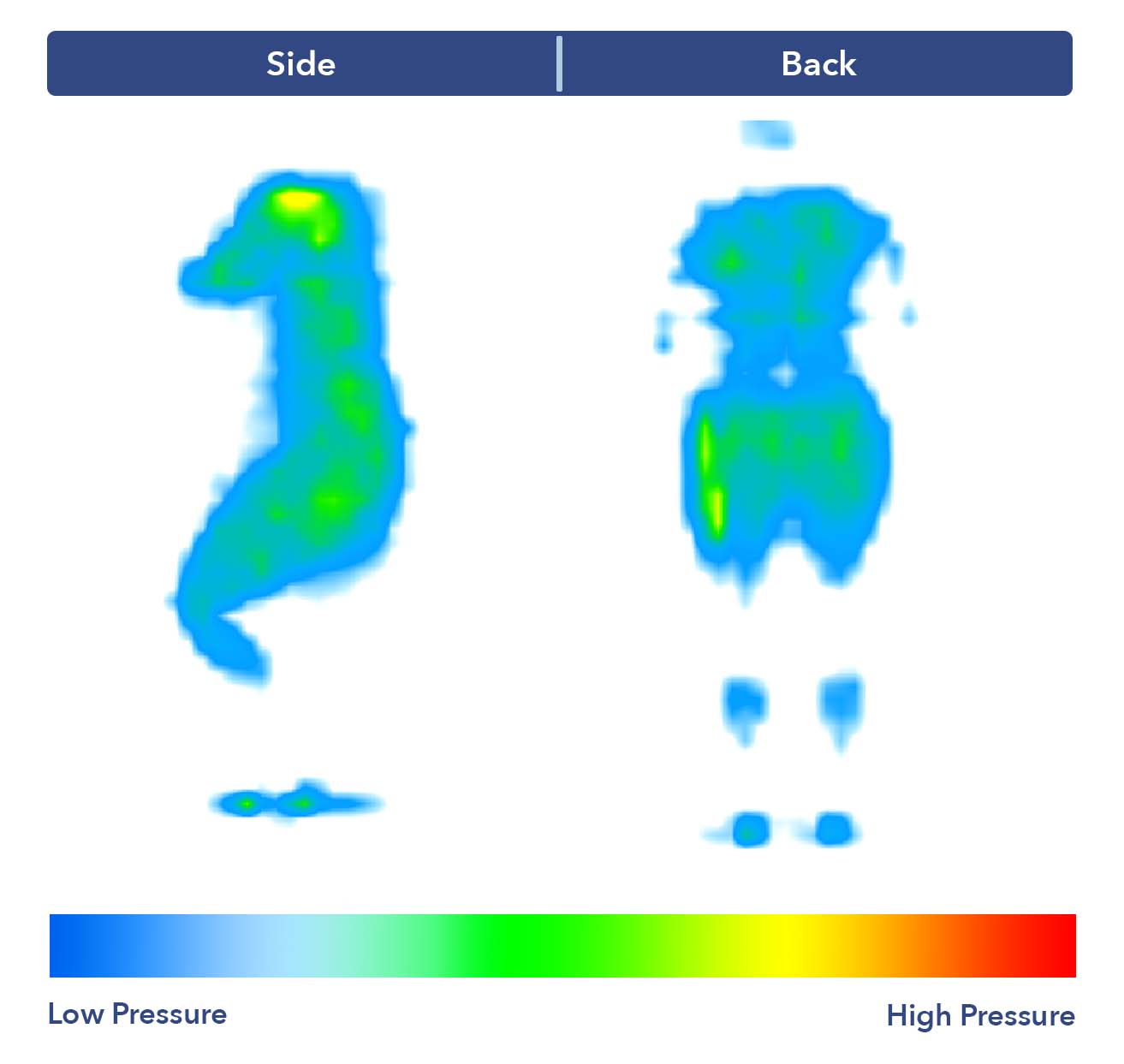 Casper mattress pressure map