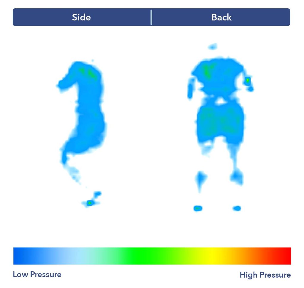 PressureMap LaylaSoft