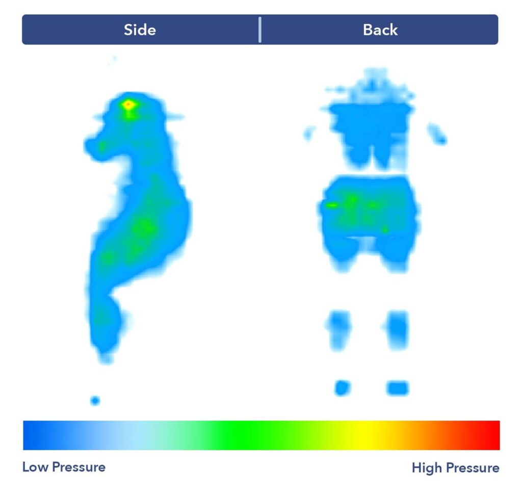 Pressure map graphic
