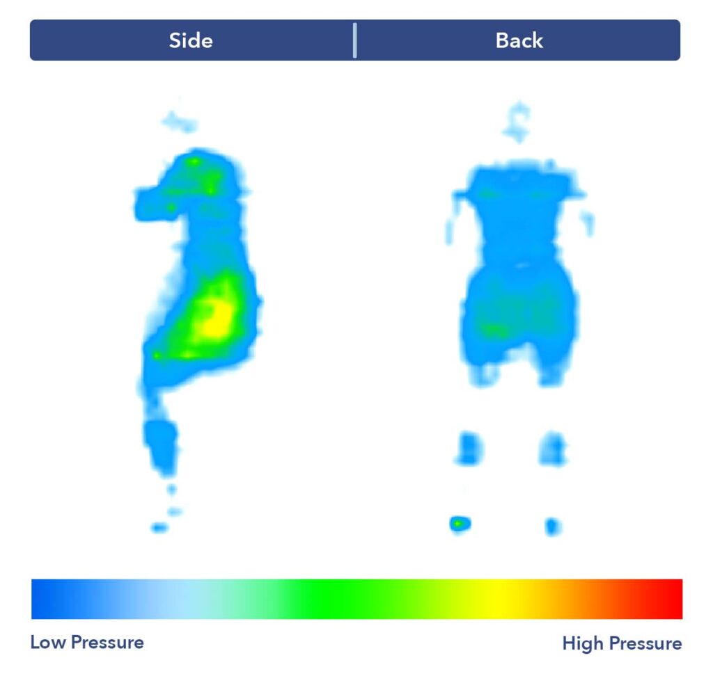 The Botanical Bliss's pressure map results.