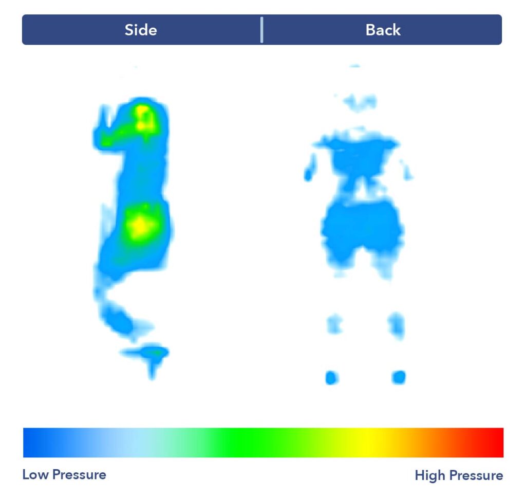 The Saatva Latex Hybrid's pressure map results.