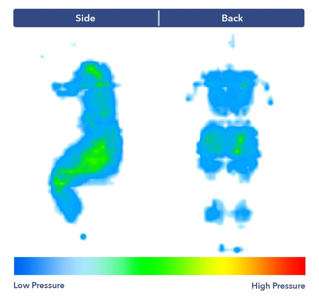 A pressure map graphic for our lightweight sleeper on the Saatva Rx for both the back- and side-sleeping position. On the back, the graphic is almost entirely blue, indicating little to no pressure. On the side, the graphic has some green at the hips and shoulders, indicating some minor pressure buildup in these areas.