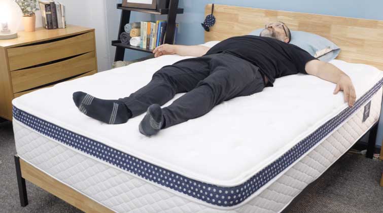 winkbed plus back sleeper